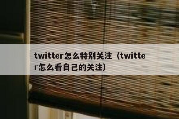 twitter怎么特别关注(twitter怎么看自己的关注) 第1张 twitter怎么特别关注(twitter怎么看自己的关注) 第1张