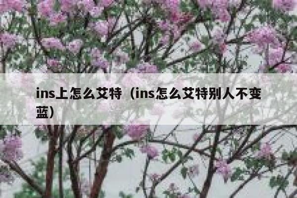 ins上怎么艾特（ins怎么艾特别人不变蓝） 第1张
