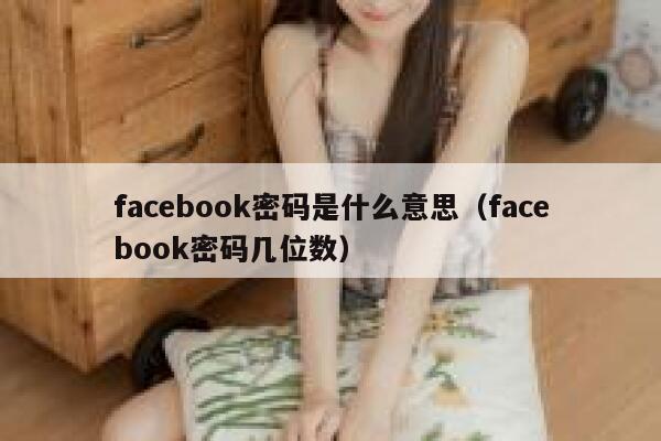 facebook密码是什么意思（facebook密码几位数） 第1张