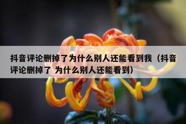 抖音评论删掉了为什么别人还能看到我(抖音评论删掉了 为什么别人还能看到) 第1张 抖音评论删掉了为什么别人还能看到我(抖音评论删掉了 为什么别人还能看到) 第1张