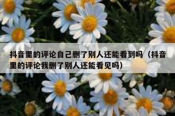 抖音里的评论自己删了别人还能看到吗(抖音里的评论我删了别人还能看见吗) 第1张 抖音里的评论自己删了别人还能看到吗(抖音里的评论我删了别人还能看见吗) 第1张