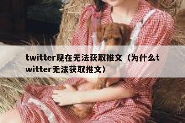 twitter现在无法获取推文（为什么twitter无法获取推文） 第1张