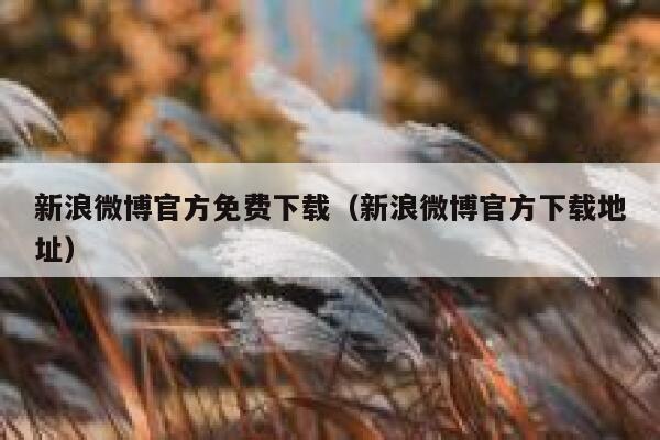 新浪微博官方免费下载（新浪微博官方下载地址） 第1张