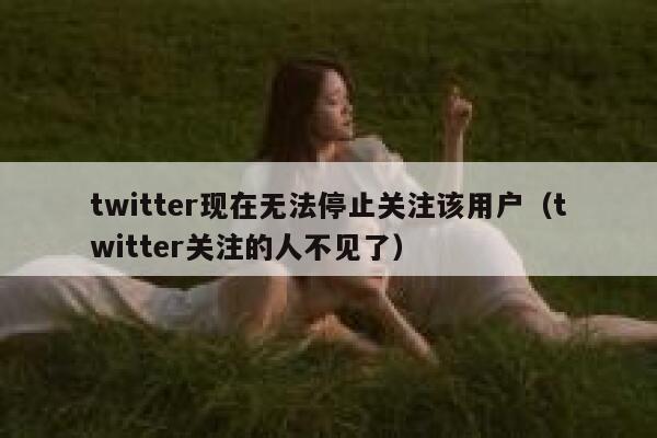 twitter现在无法停止关注该用户（twitter关注的人不见了） 第1张