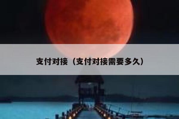 支付对接(支付对接需要多久) 第1张 支付对接(支付对接需要多久) 第1张