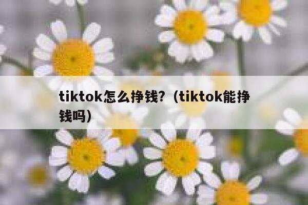 tiktok怎么挣钱?（tiktok能挣钱吗） 第1张