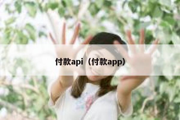 付款api（付款app） 第1张