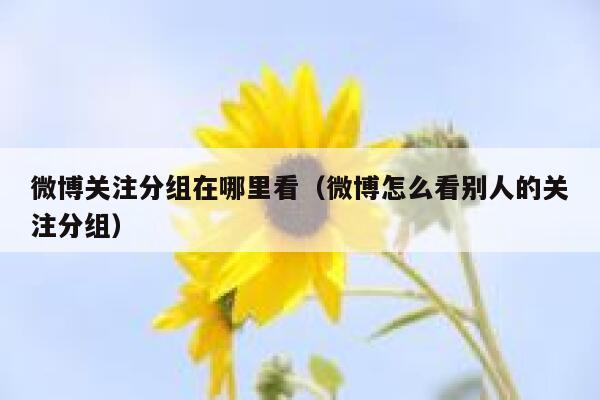 微博关注分组在哪里看(微博怎么看别人的关注分组) 第1张 微博关注分组在哪里看(微博怎么看别人的关注分组) 第1张