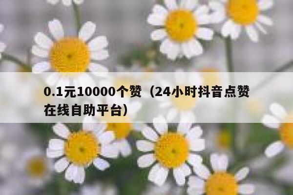 0.1元10000个赞（24小时抖音点赞在线自助平台） 第1张