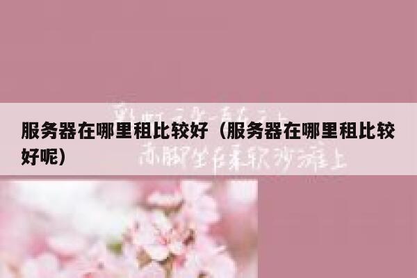 服务器在哪里租比较好（服务器在哪里租比较好呢） 第1张