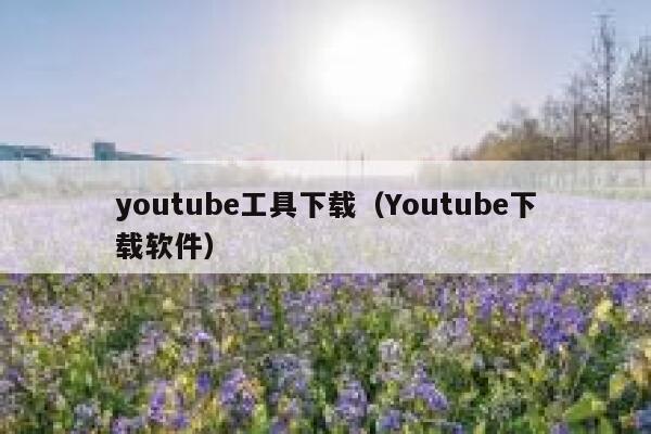 youtube工具下载（Youtube下载软件） 第1张