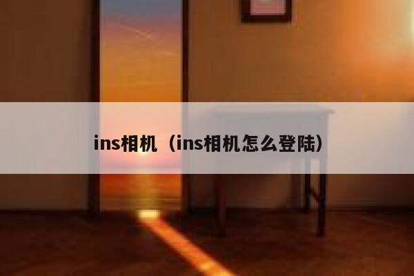 ins相机（ins相机怎么登陆） 第1张