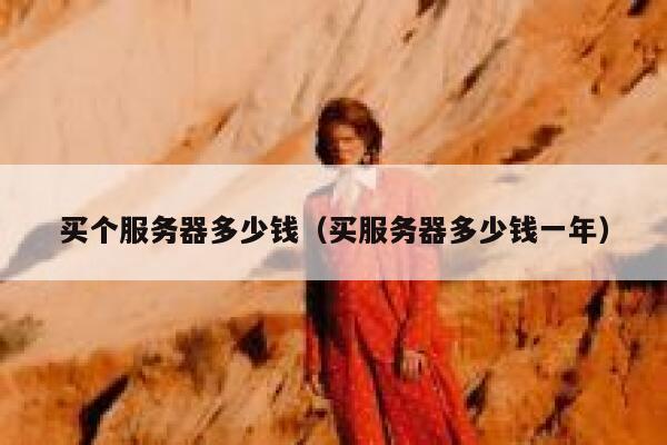 买个服务器多少钱（买服务器多少钱一年） 第1张