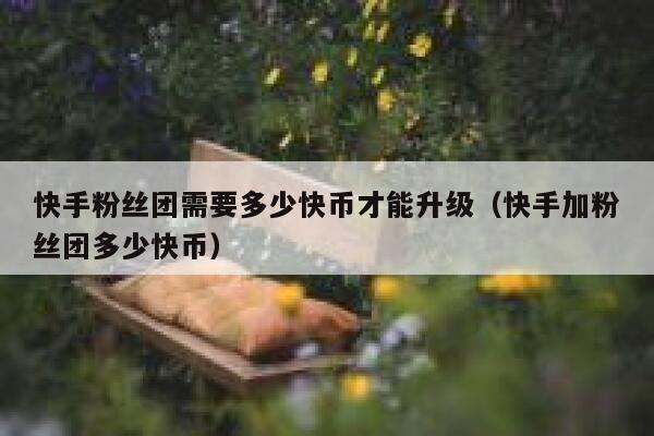 快手粉丝团需要多少快币才能升级（快手加粉丝团多少快币） 第1张