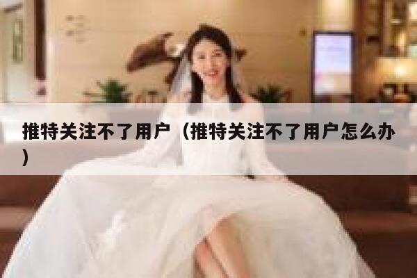 推特关注不了用户（推特关注不了用户怎么办） 第1张