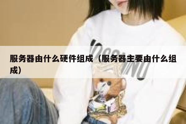 服务器由什么硬件组成（服务器主要由什么组成） 第1张