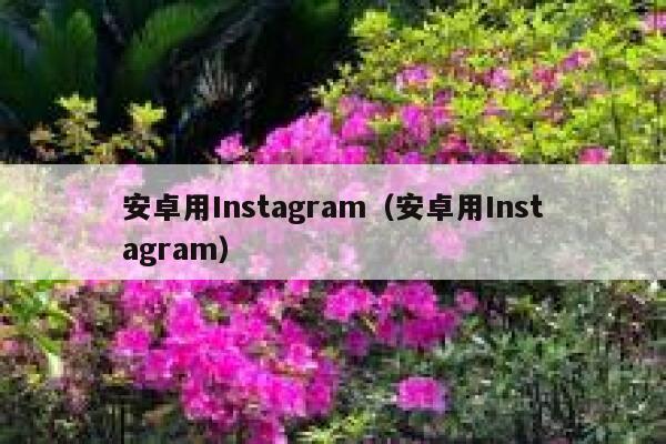 安卓用Instagram（安卓用Instagram） 第1张