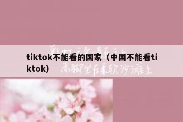 tiktok不能看的国家（中国不能看tiktok） 第1张
