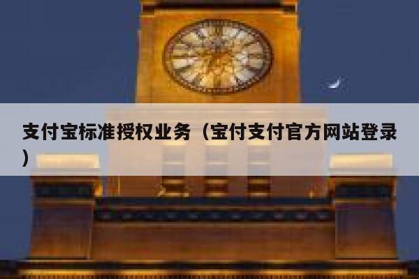 支付宝标准授权业务（宝付支付官方网站登录） 第1张