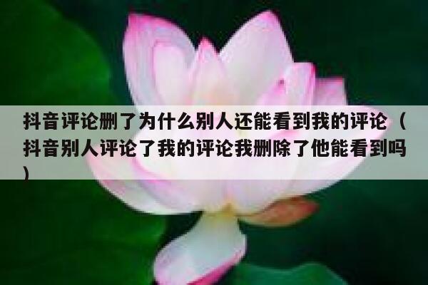 抖音评论删了为什么别人还能看到我的评论(抖音别人评论了我的评论我删除了他能看到吗) 第1张 抖音评论删了为什么别人还能看到我的评论(抖音别人评论了我的评论我删除了他能看到吗) 第1张