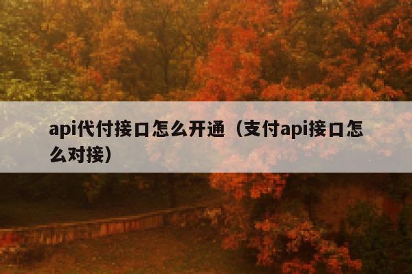 api代付接口怎么开通（支付api接口怎么对接） 第1张