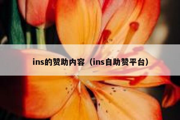 ins的赞助内容（ins自助赞平台） 第1张