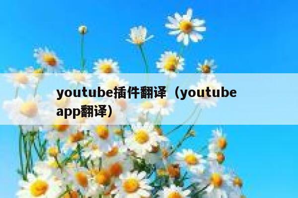 youtube插件翻译（youtube app翻译） 第1张