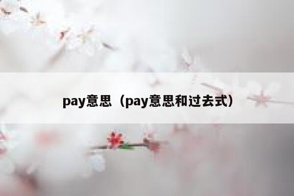 pay意思（pay意思和过去式） 第1张