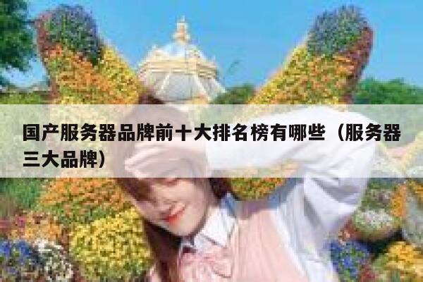 国产服务器品牌前十大排名榜有哪些（服务器三大品牌） 第1张
