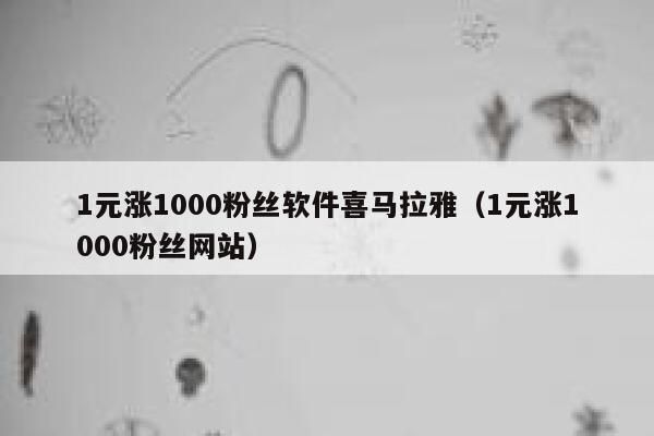 1元涨1000粉丝软件喜马拉雅（1元涨1000粉丝网站） 第1张