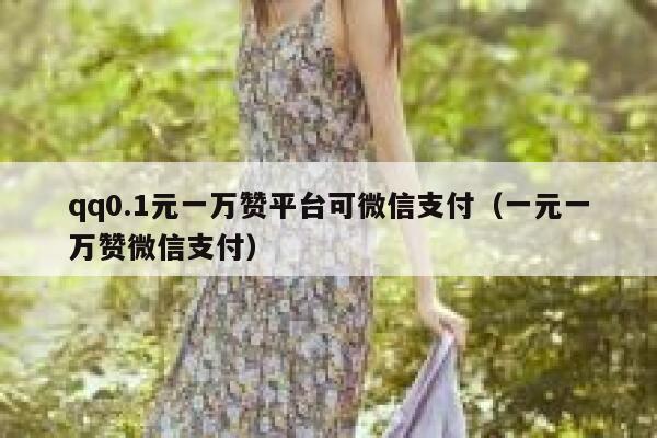 qq0.1元一万赞平台可微信支付（一元一万赞微信支付） 第1张