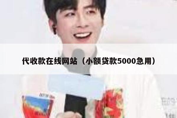 代收款在线网站（小额贷款5000急用） 第1张