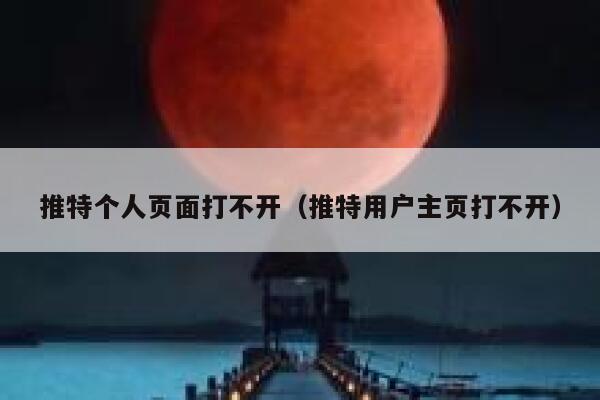 推特个人页面打不开(推特用户主页打不开) 第1张 推特个人页面打不开(推特用户主页打不开) 第1张