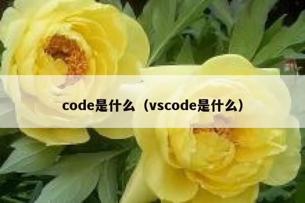 code是什么(vscode是什么) 第1张 code是什么(vscode是什么) 第1张