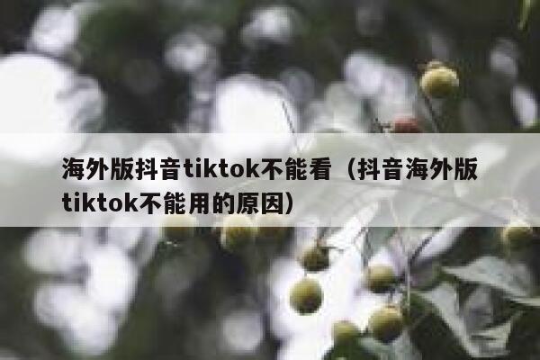 海外版抖音tiktok不能看（抖音海外版tiktok不能用的原因） 第1张
