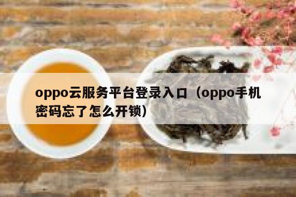oppo云服务平台登录入口（oppo手机密码忘了怎么开锁） 第1张