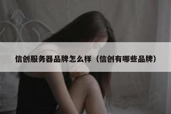 信创服务器品牌怎么样(信创有哪些品牌) 第1张 信创服务器品牌怎么样(信创有哪些品牌) 第1张