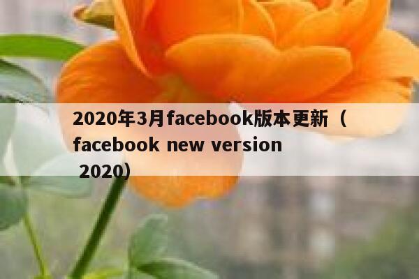 2020年3月facebook版本更新（facebook new version 2020） 第1张