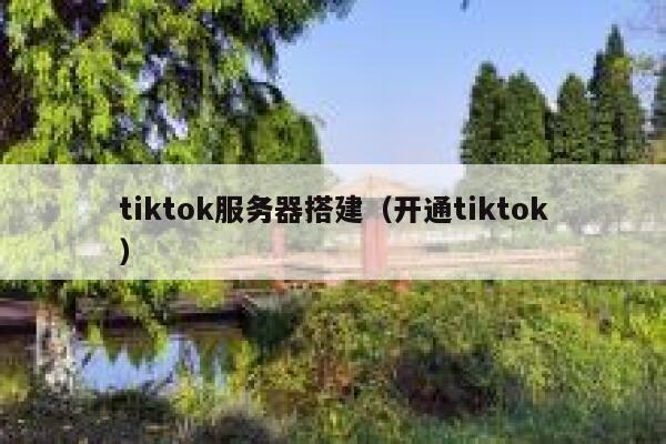 tiktok服务器搭建(开通tiktok) 第1张 tiktok服务器搭建(开通tiktok) 第1张