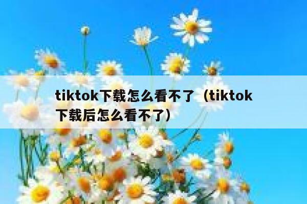 tiktok下载怎么看不了（tiktok下载后怎么看不了） 第1张