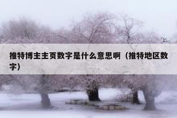 推特博主主页数字是什么意思啊（推特地区数字） 第1张