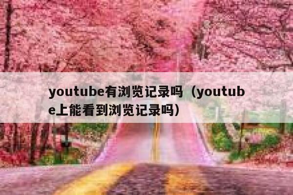 youtube有浏览记录吗（youtube上能看到浏览记录吗） 第1张