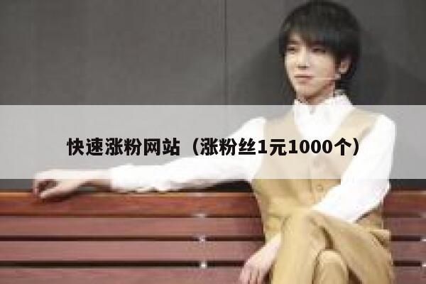 快速涨粉网站（涨粉丝1元1000个） 第1张