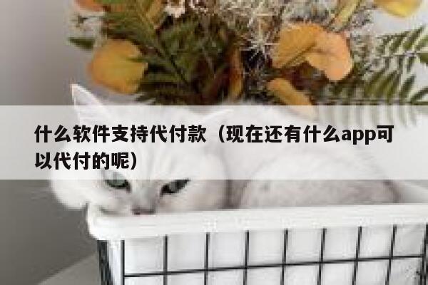 什么软件支持代付款（现在还有什么app可以代付的呢） 第1张