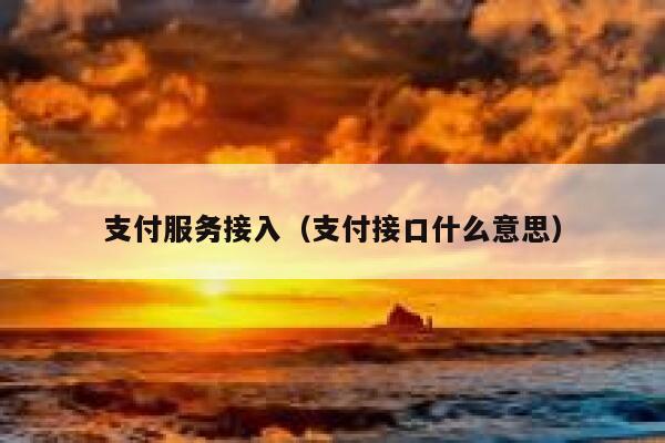 支付服务接入（支付接口什么意思） 第1张