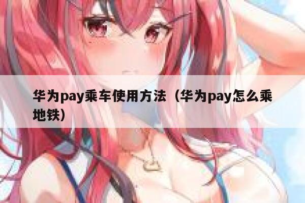 华为pay乘车使用方法(华为pay怎么乘地铁) 第1张 华为pay乘车使用方法(华为pay怎么乘地铁) 第1张