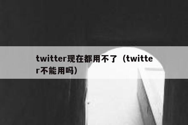 twitter现在都用不了（twitter不能用吗） 第1张