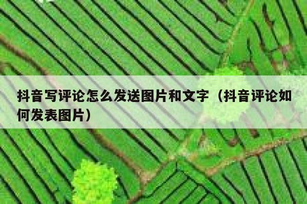 抖音写评论怎么发送图片和文字(抖音评论如何发表图片) 第1张 抖音写评论怎么发送图片和文字(抖音评论如何发表图片) 第1张