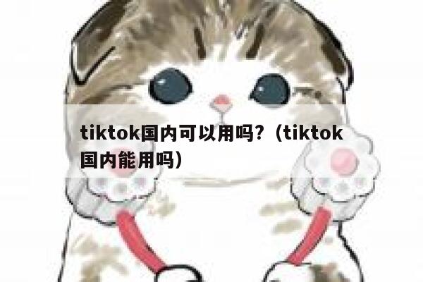 tiktok国内可以用吗?（tiktok国内能用吗） 第1张