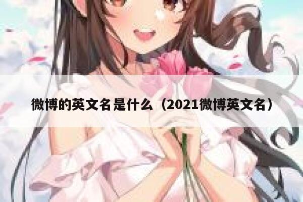 微博的英文名是什么（2021微博英文名） 第1张